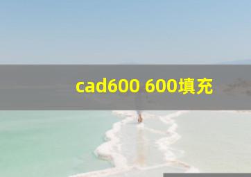 cad600 600填充